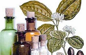 Essência Manipulação e Homeopatia - Foto 1